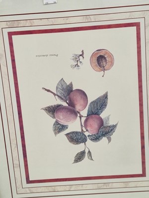 Lot 52 - Four decorative furnishing prints