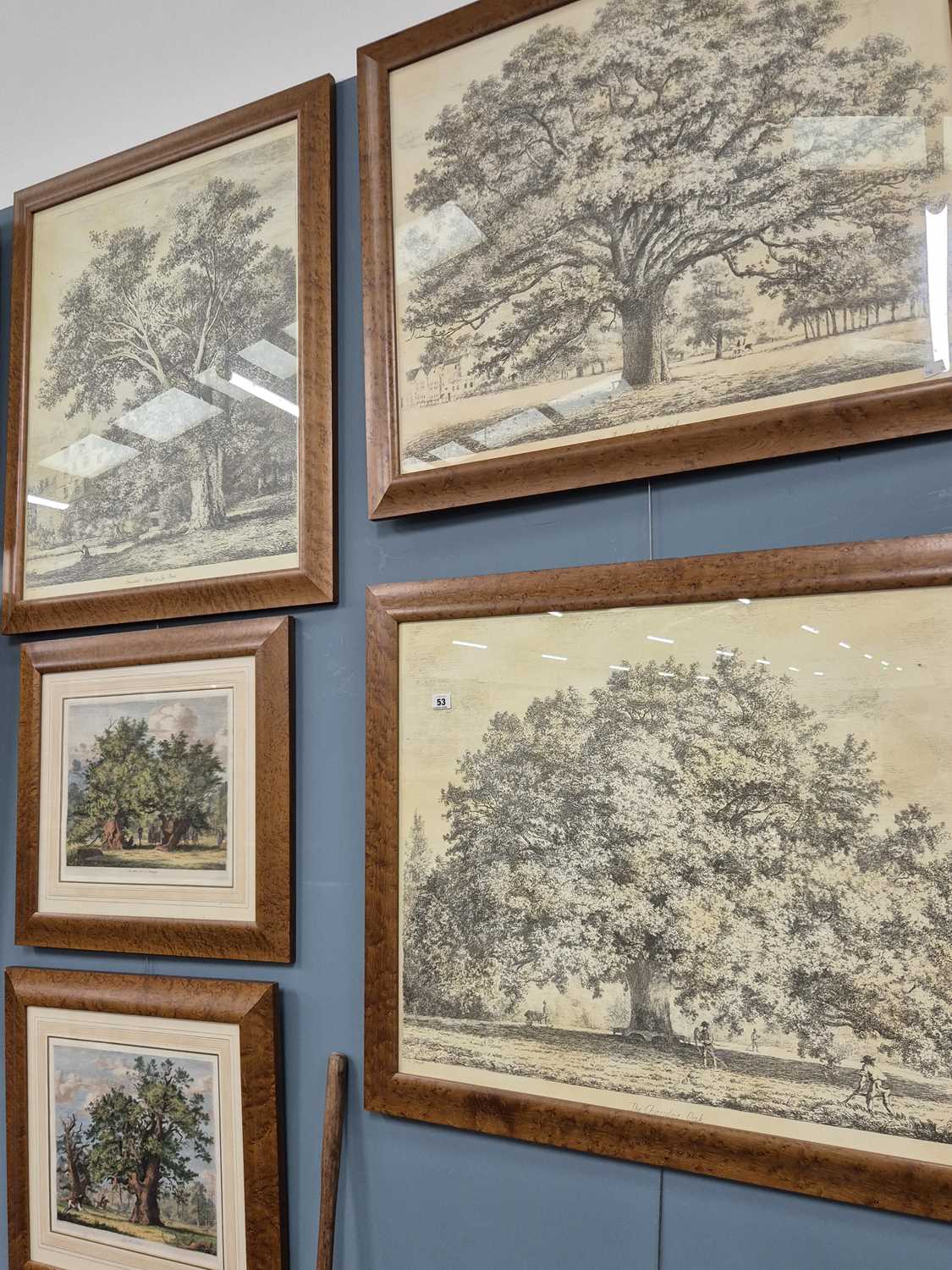 Lot 53 - A group of five furnishing prints depicting trees
