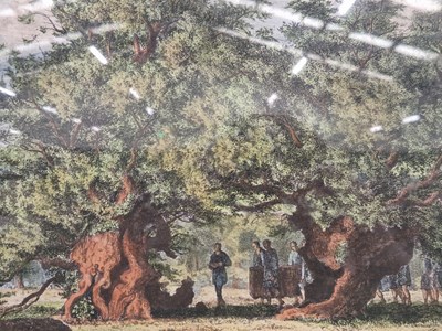 Lot 53 - A group of five furnishing prints depicting trees
