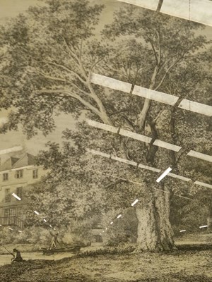 Lot 53 - A group of five furnishing prints depicting trees