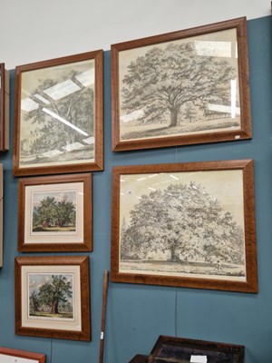 Lot 53 - A group of five furnishing prints depicting trees