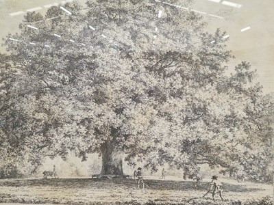 Lot 53 - A group of five furnishing prints depicting trees