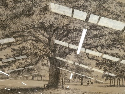 Lot 53 - A group of five furnishing prints depicting trees