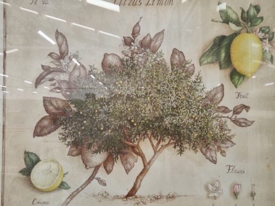 Lot 62 - A group of ten large decorative furnishing prints