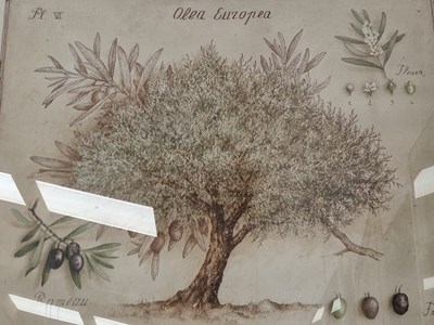Lot 62 - A group of ten large decorative furnishing prints