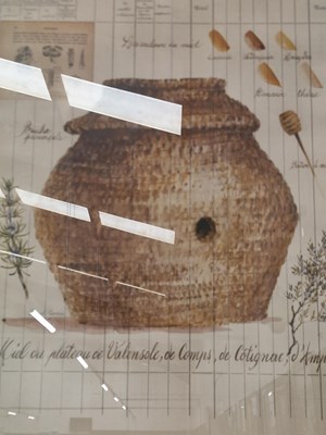 Lot 62 - A group of ten large decorative furnishing prints