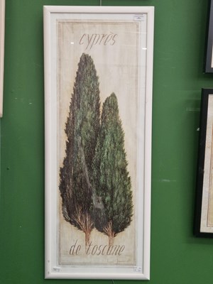 Lot 64 - Seven large decorative furnishing prints,...