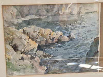 Lot 77 - Three watercolours and a pastel study of dogs