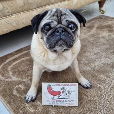 Lot 20 - WWI Satirical Postcard, “Advice to German...