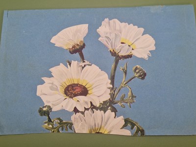 Lot 1 - Tokens of affection…A charming group of late...