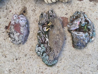 Lot 974 - A group of various garden ornaments, including...