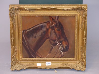 Lot 1260 - 19th century school, the head of a bridled bay...