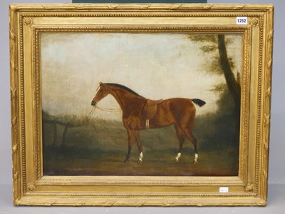 Lot 1252 - 19th century English school, a bay hunter in a...