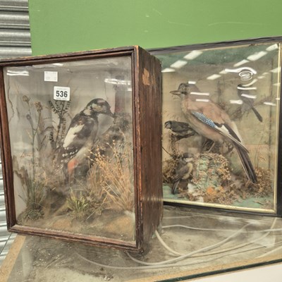 Lot 536 - Glazed cased taxidermy woodpecker and a jay