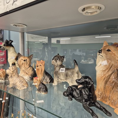 Lot 603 - A collection of eleven ceramic dogs