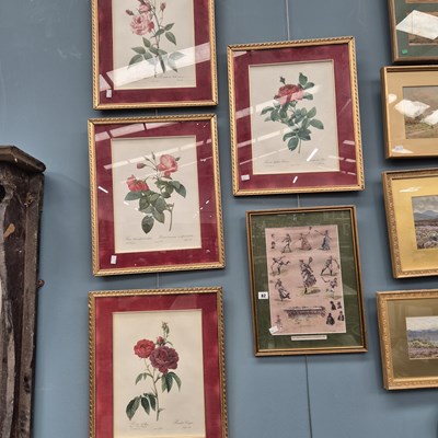 Lot 82 - Four vintage floral prints and another related...