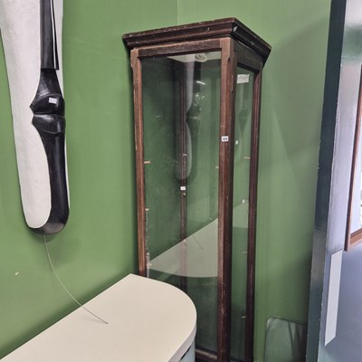 Lot 420 - A tall glazed display cabinet H 205 W 56 D 56cm