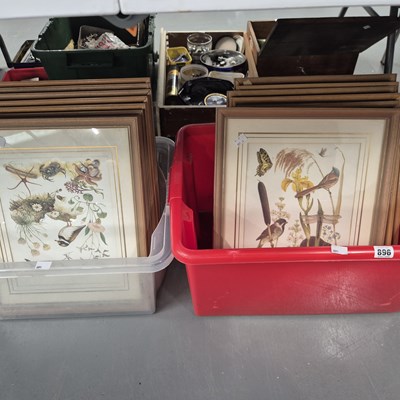 Lot 896 - A uniform set of Sixteen framed prints, birds,...