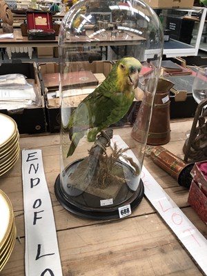 Lot 688 - Taxidermy bird under a glass dome, possibly a...