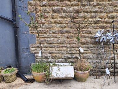 Lot 474 - A pair of terracotta plant pots with...