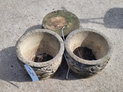Lot 483 - Two concrete garden pots with five garden...