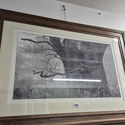 Lot 364 - The Blenheim oak, a signed limited edition print